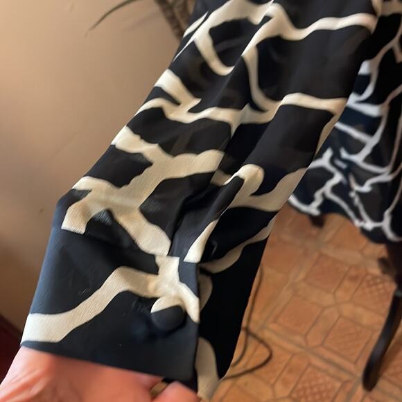 Vintage Petite Sophisticate sheer button tunic - Picture 6 of 9